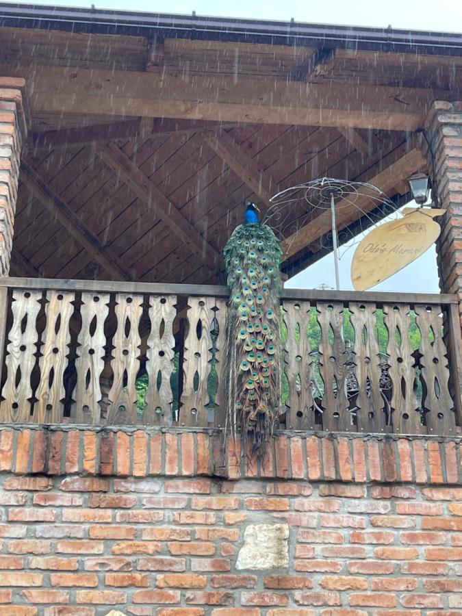 Odo'S Guest House Martvili Exterior photo